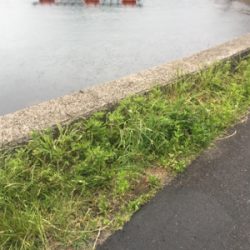 地合いは超短い