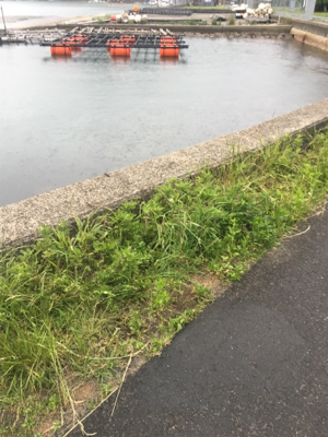 地合いは超短い