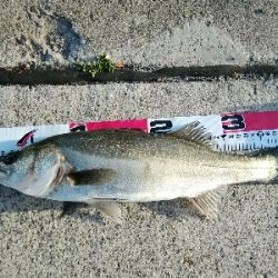 安定のポイントにて