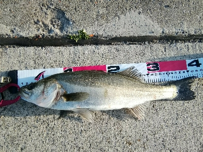 安定のポイントにて