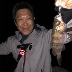 夕まずめ/ナイトゲーム☆GUNNING-STYLE