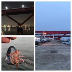 切られたー＿ﾉ乙(､ﾝ､)_