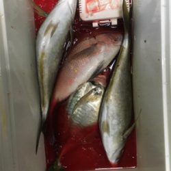 釣り堀
