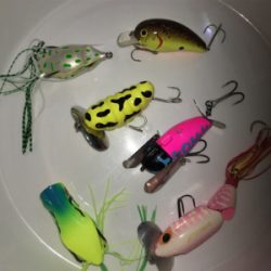 デイナマズゲーム