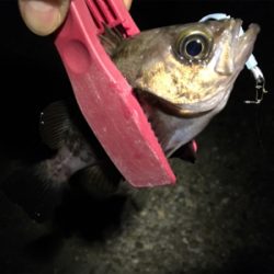 まだまだこれから