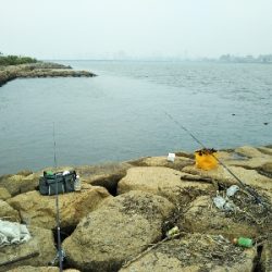 今年三度目の正直