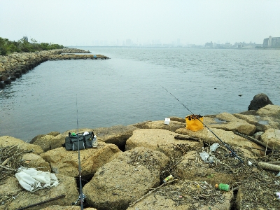 今年三度目の正直