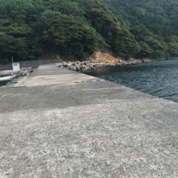 ガジラ様に感謝