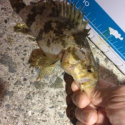 旅行先の雨前に