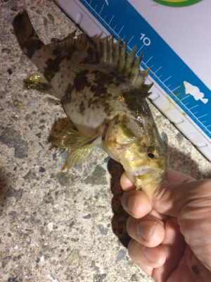 旅行先の雨前に