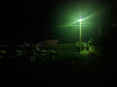 雨後、強風でメバルはタフコン