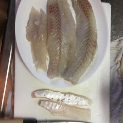 久々のエビ撒き