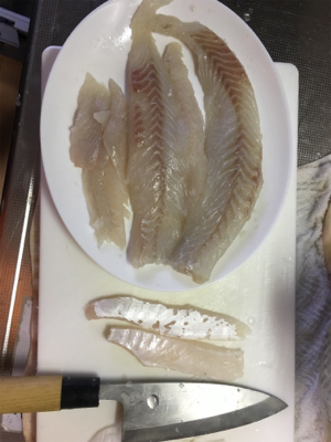 久々のエビ撒き