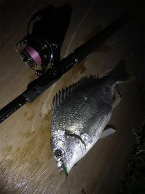 チニングプチ大会♪