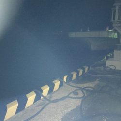 まさかのナイトシーバス