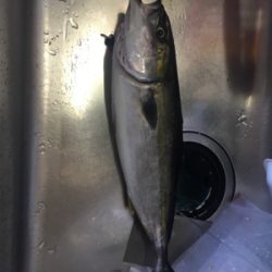 一文字→釣り堀