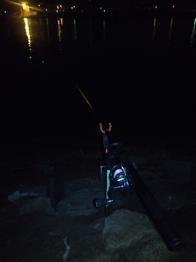 今日も夜釣り
