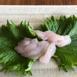 青物狙い→ブラクリへ