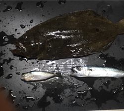 ライトワインド