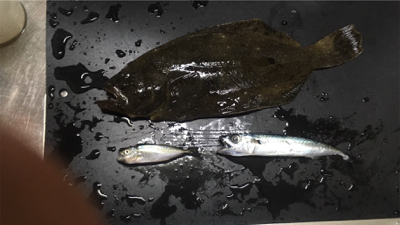 ライトワインド