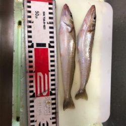 キスシーズン到来‼︎