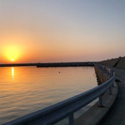 城崎旅行のついでに…