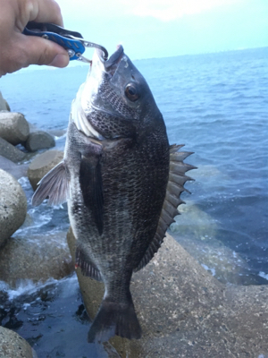 雨降り前に。。