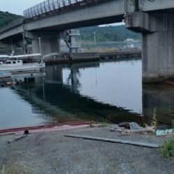 メバル狙いが……