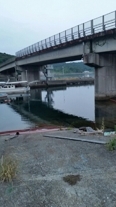 メバル狙いが……