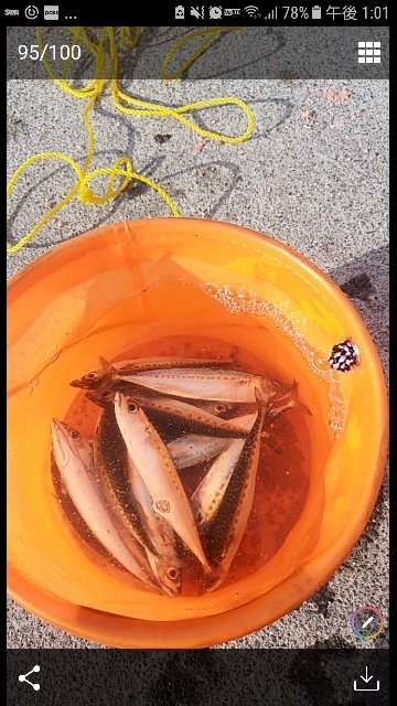 素敵な仲間と那珂湊港釣行❕