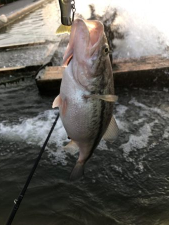 ジョイクロ128テスト