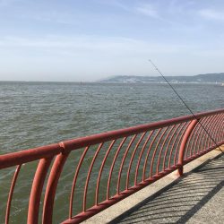 困った時のガッシー！