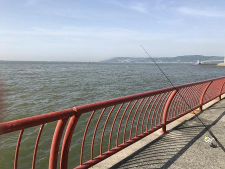 困った時のガッシー！