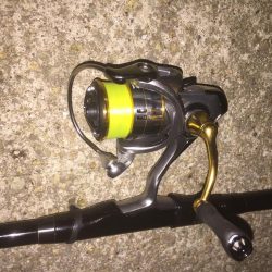 久々のメバルプラッキング