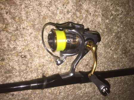 久々のメバルプラッキング