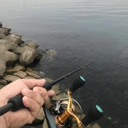 本命ではないですが