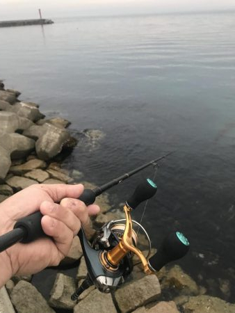 本命ではないですが