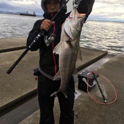 渋い中の良型スズキ