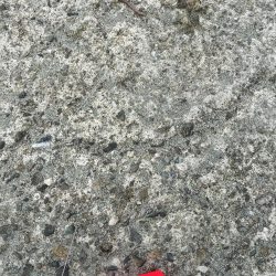 ファミリーフィッシング