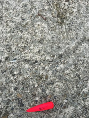 ファミリーフィッシング