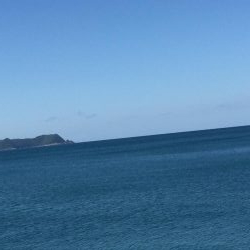 春イカエギングからのガシリング