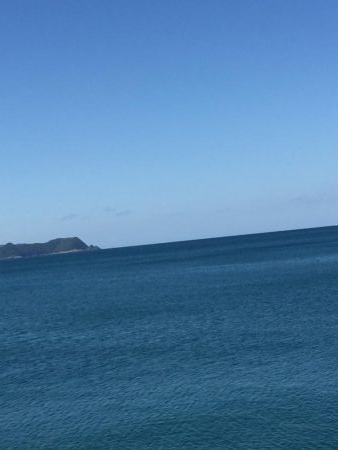 春イカエギングからのガシリング