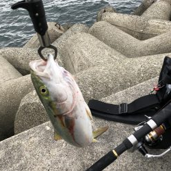 今シーズン初！