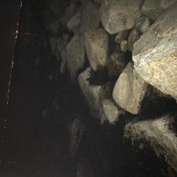 いつも安定のナイトゲーム