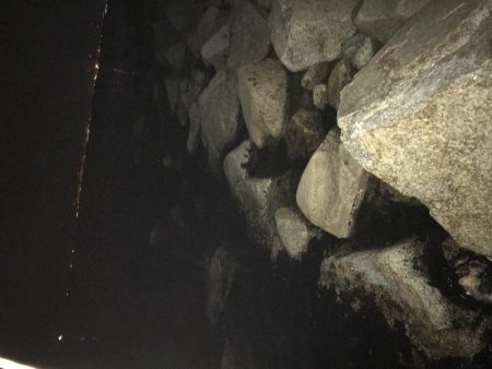 いつも安定のナイトゲーム