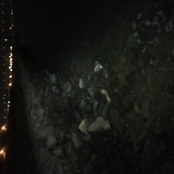 劇浅 淀川チニング