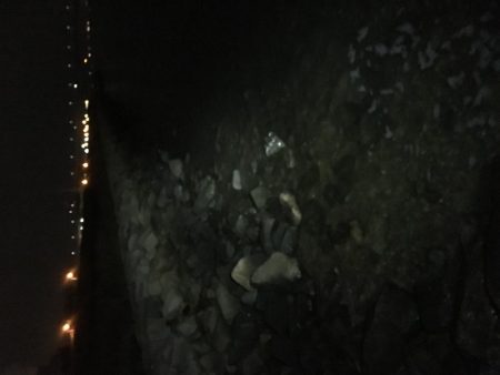 劇浅 淀川チニング