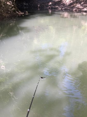 やはりファルケンRベイト