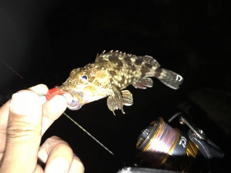 夕まずめ 短時間