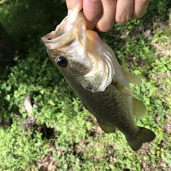 津風呂バス！！